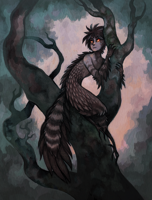 Illustrations by Emily Smith