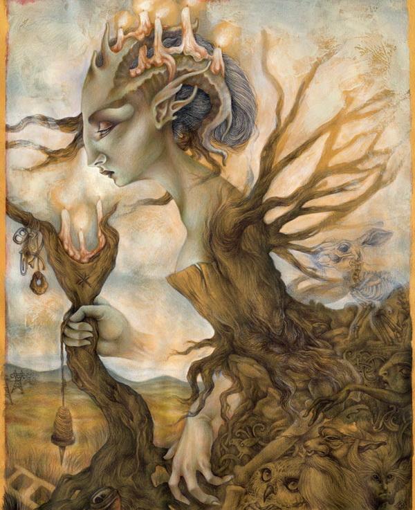 Illustrations by Desiree Isphording