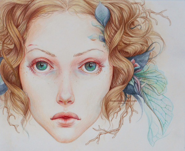 Colorful Pencil Drawings by Jennifer Healy