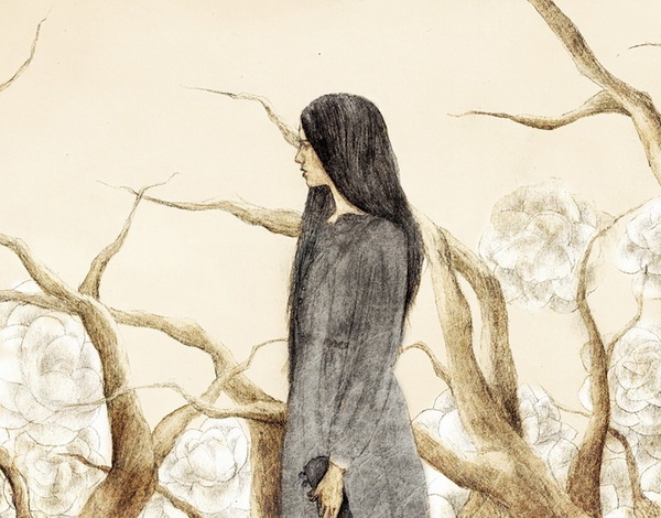 Illustrations by Voider Sun