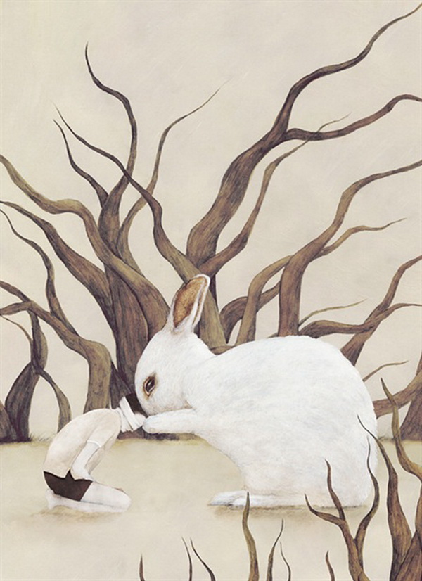 Illustrations by Voider Sun