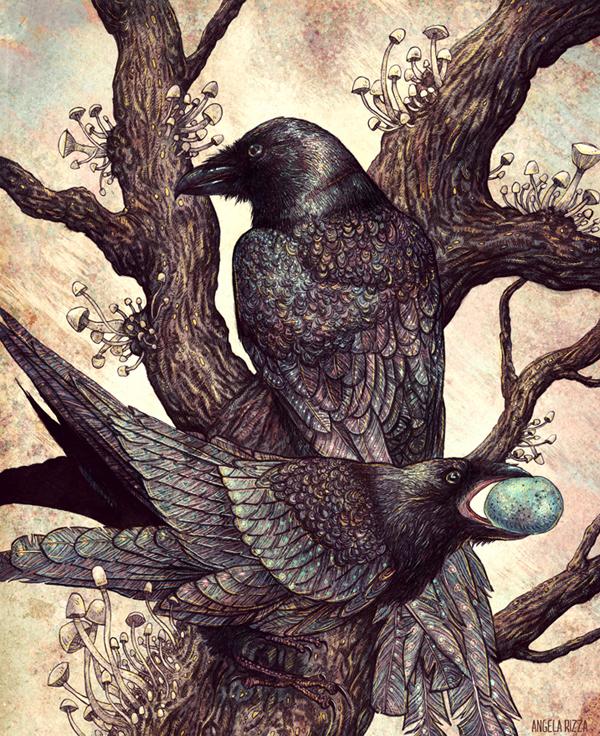 Illustrations by Angela Rizza