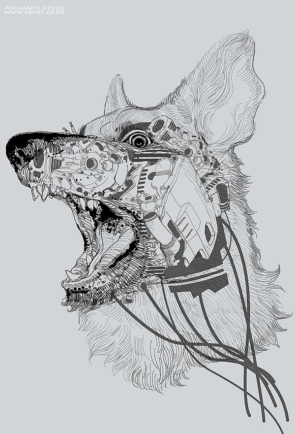 Illustrations by Wonman Kim