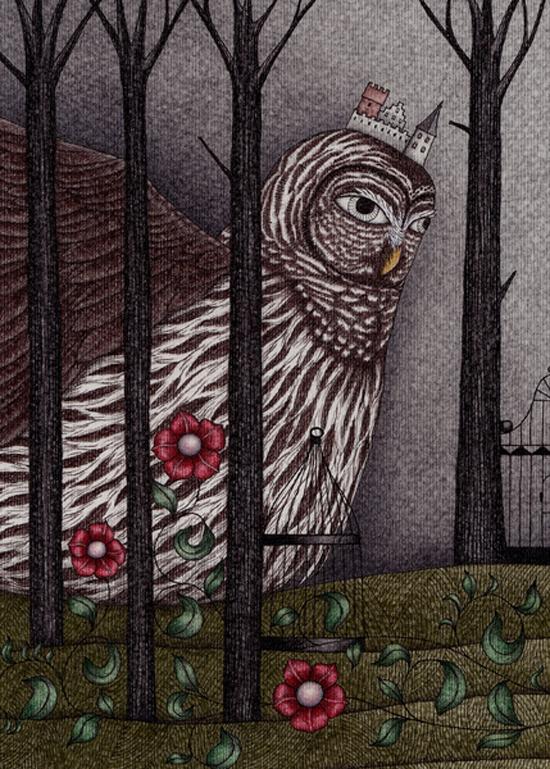 Illustrations by Judith Clay