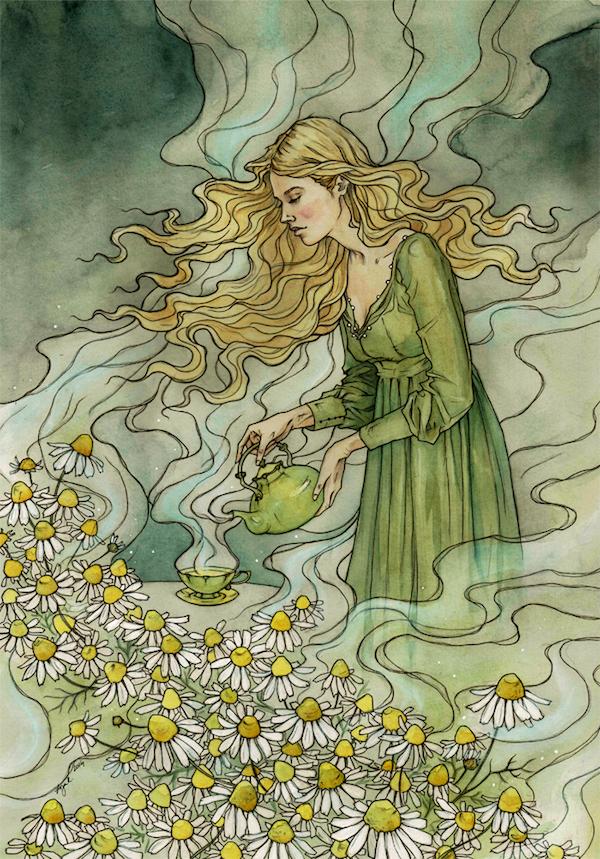 Illustrations by Liga Klavina