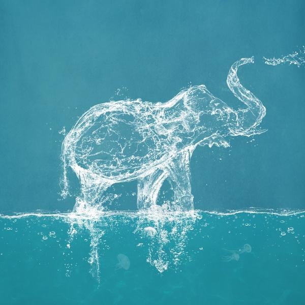 Illustrations by Paula Belle Flores