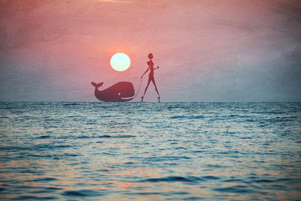 Illustrations by Paula Belle Flores