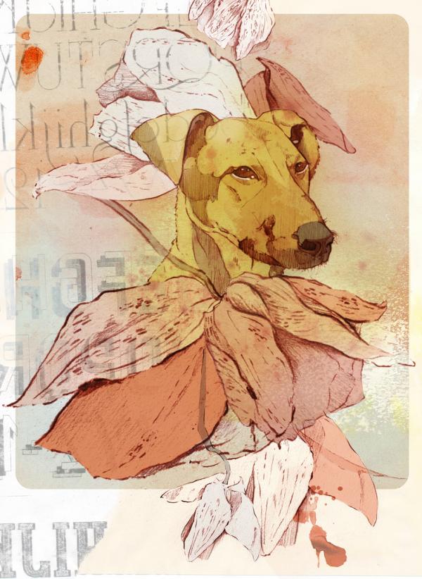 Illustrations by Maria Carolina Ramirez Alvarez