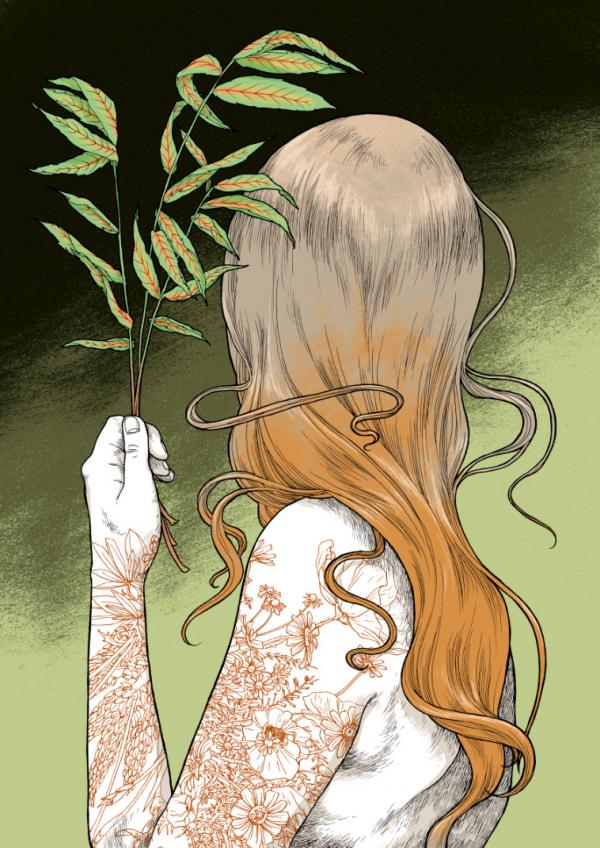 Illustrations by Janey Jane