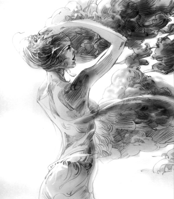 Illustrations by Zhang Weber