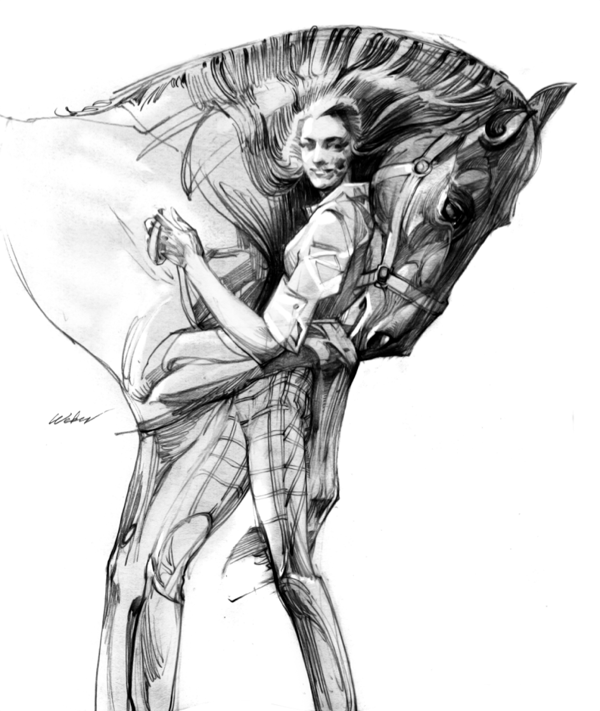 Illustrations by Zhang Weber