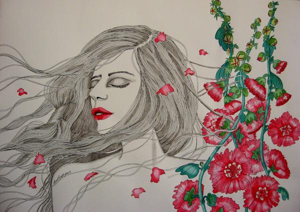 Illustrations by Lisa Murphy
