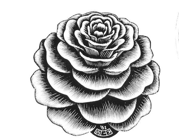 30 Beautiful Flower Drawings