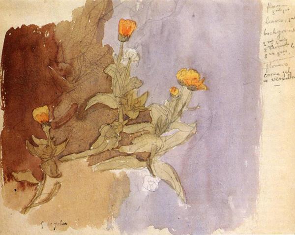 30 Beautiful Flower Drawings
