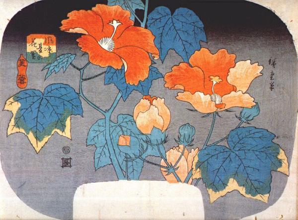 30 Beautiful Flower Drawings