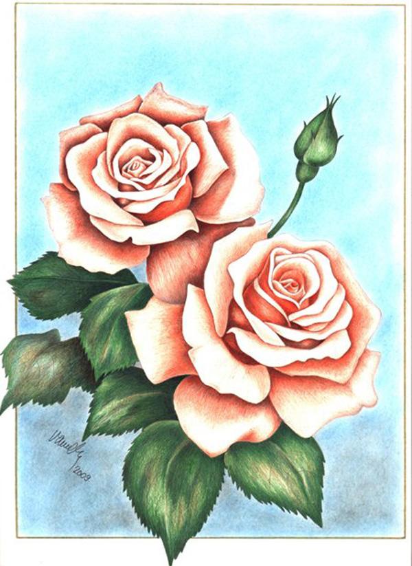 30 Beautiful Flower Drawings