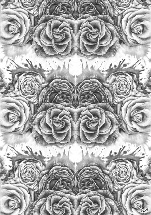 30 Beautiful Flower Drawings