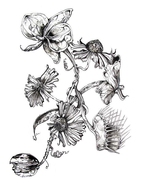 30 Beautiful Flower Drawings