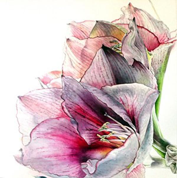 30 Beautiful Flower Drawings