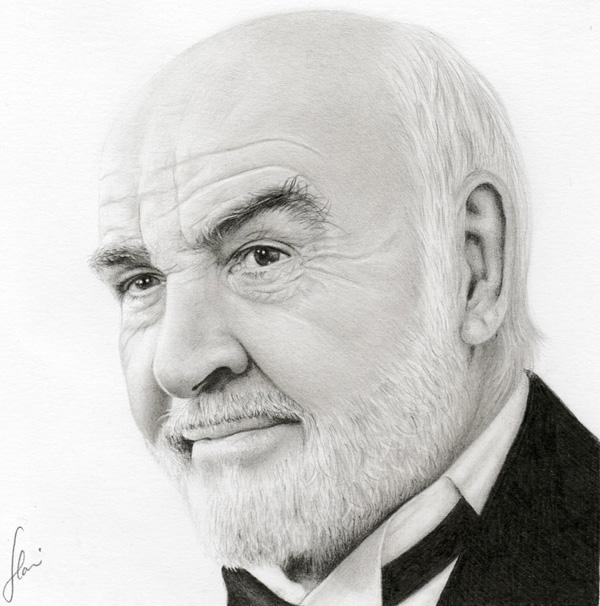 Pencil Drawings by hrm-n