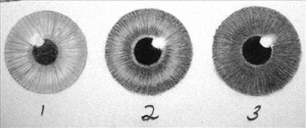 30 Expressive Drawings of Eyes