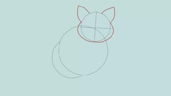How to Draw a Cat