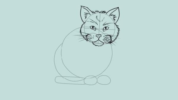How to Draw a Cat