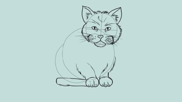 How to Draw a Cat