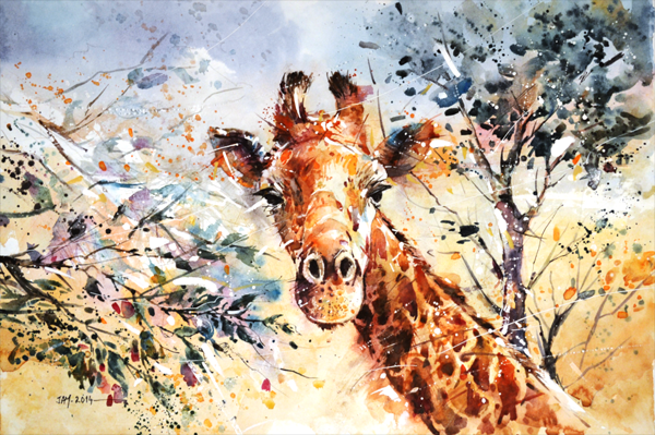 Animal Illustrations by Jay Alam