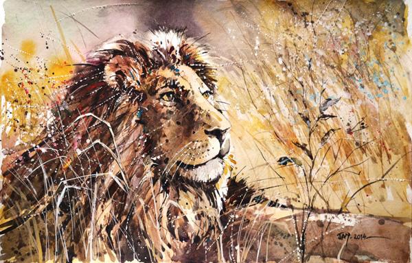 Animal Illustrations by Jay Alam