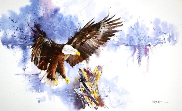Animal Illustrations by Jay Alam