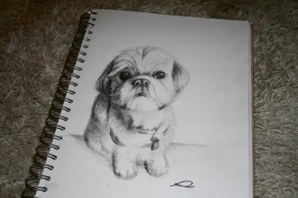 Traditional Art by Rhyn Williams