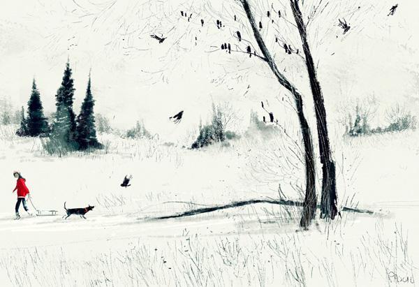 Illustriations by Pascal Campion