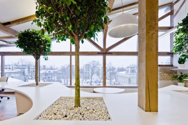Office Greenhouse