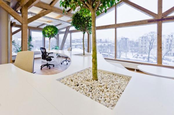 Office Greenhouse