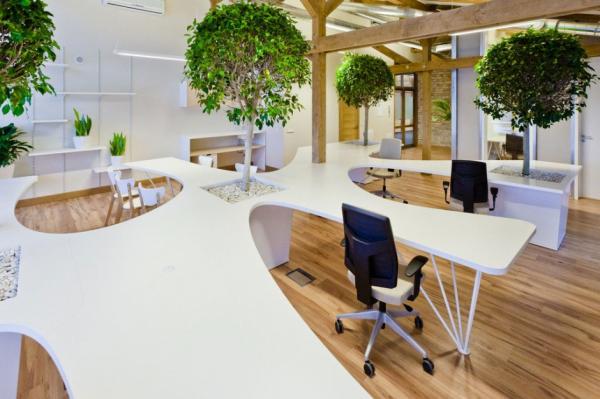 Office Greenhouse