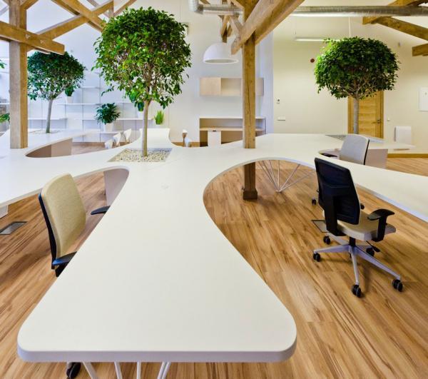Office Greenhouse
