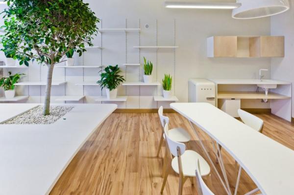 Office Greenhouse