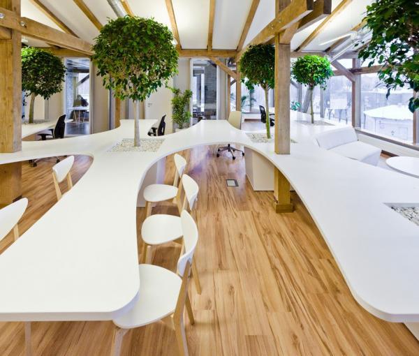 Office Greenhouse