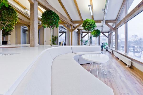 Office Greenhouse