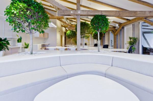 Office Greenhouse