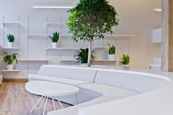 Office Greenhouse