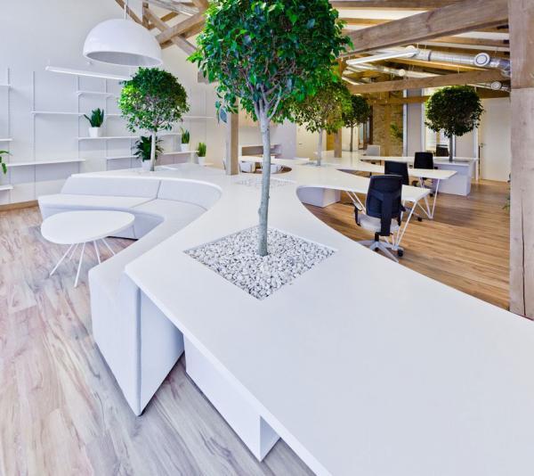 Office Greenhouse