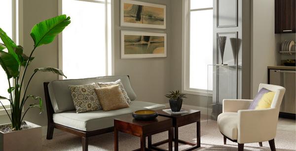 50 Living Room Paint Ideas