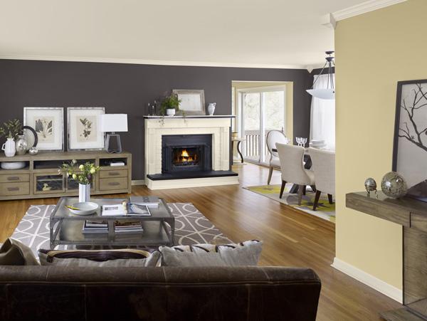 50 Living Room Paint Ideas