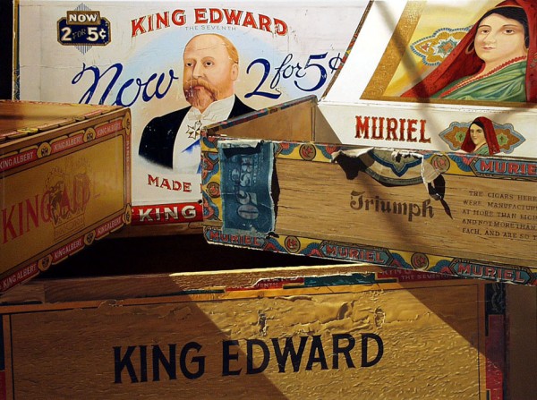 Oil Paintings by Steve Mills