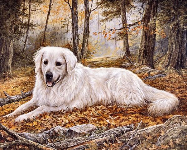 Paintings by Shirley Deaville