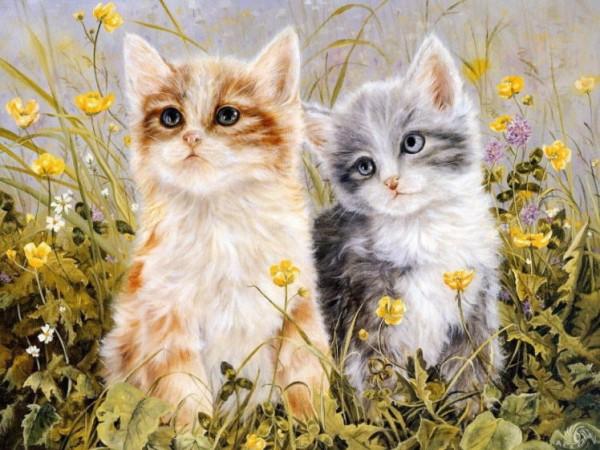 Paintings by Shirley Deaville