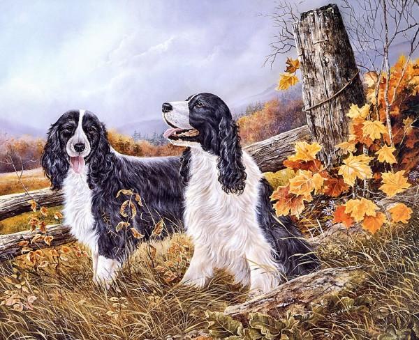 Paintings by Shirley Deaville