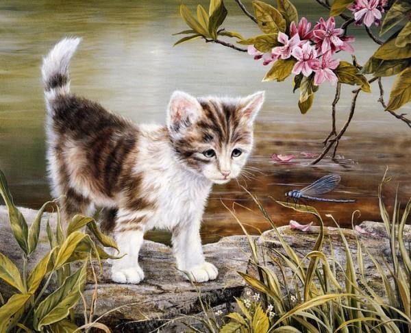 Paintings by Shirley Deaville